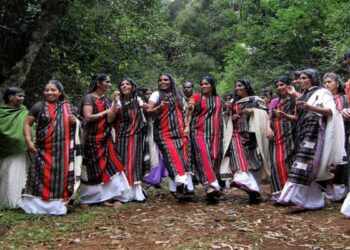 The Resilience and Richness of Tribal and Indigenous Societies