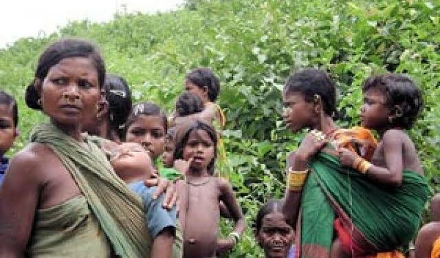 सरकार विशेष कमजोर आदिवासी समूहों की तरफ कब ध्यान देगी?